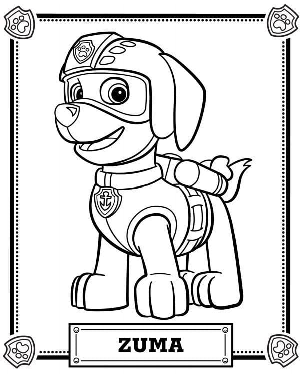 desenho para colorir patrulha canina zuma